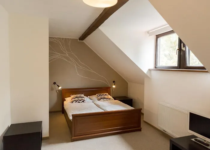 Zadni Mlyn 3* 체스케부데요비체