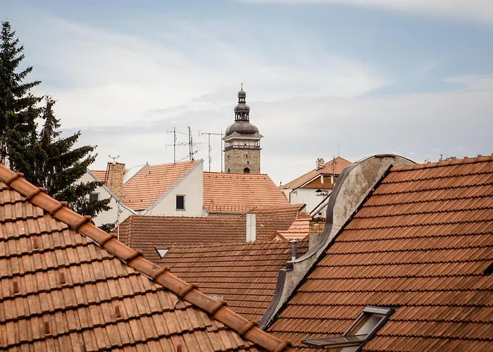 Zadni Mlyn 3* 체스케부데요비체